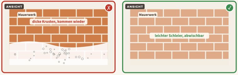 Zeichnung zu Blatt 17: Weiße Ausblühungen, links der Mangel, rechts der Vergleich